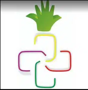 nutriologa en puebla rosalba 1 295x300 1